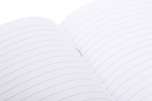 Тетрадь 18 листов линия 2023_1 Nota Bene