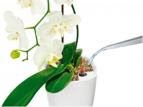 Вазон пластиковий Lechuza Deltini квадратний 1,2 л білий (14900) 