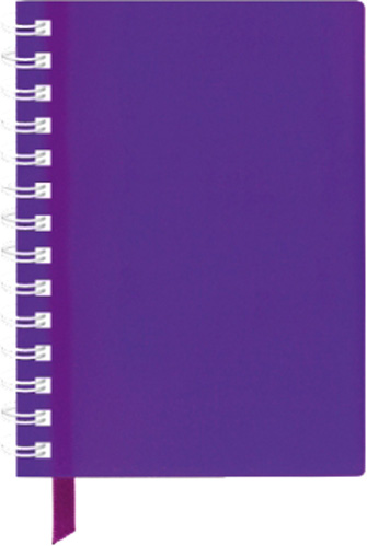 Блокнот А6 спираль 60 листов ячейка E20249 Economix