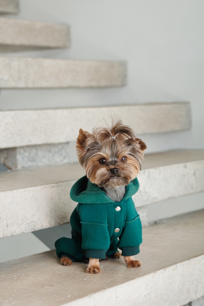 Костюм Pet Fashion Berry S изумруд