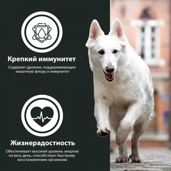 Корм сухой для всех пород German Shephy GOLD Sensitiv Lamm & Reis ягненок и рис 10 кг
