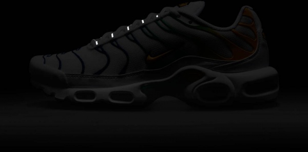 Кроссовки Nike W AIR MAX PLUS F FADE DZ3671-101 р.39 разноцветный