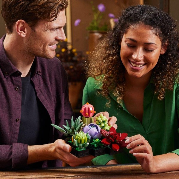 Конструктор LEGO Ideas суккуленты 10309