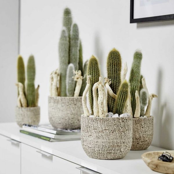 Кашпо керамічне Soendgen Portland круглий 20 л темно-коричневий 