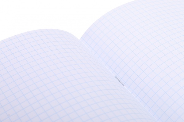 Тетрадь школьная Лайтгрин 60 листов в клеточку