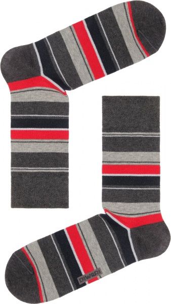 Шкарпетки чоловічі Conte DW Happy 15с-23СП 056 р. 25 сірий із бордовим 