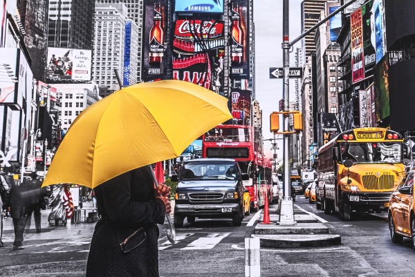 Репродукция 60х80 см AF20131115 New York 136PC02 RozenfeldArt 