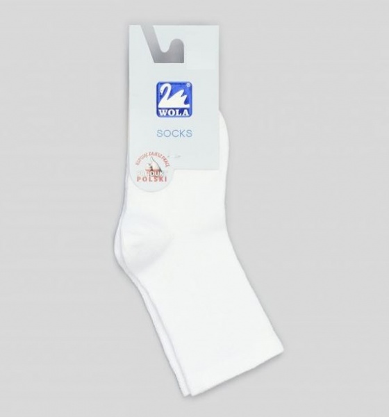 Носки унисекс Wola W24.000 0 р. 24-26 белый 