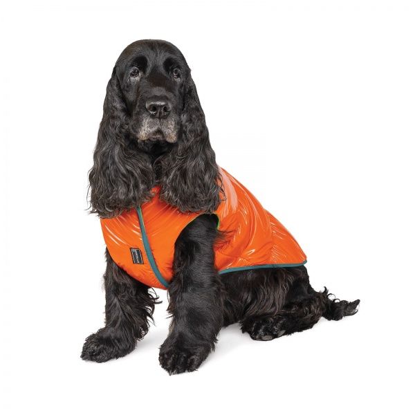 Жилет Природа для собак SPRING оранжевый S
