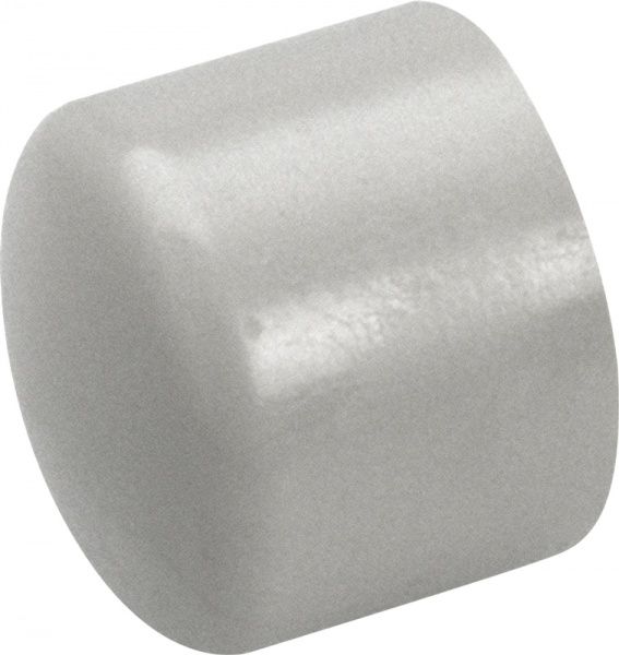 Заглушка Wavin Ekoplastik ППР 25 SZA025