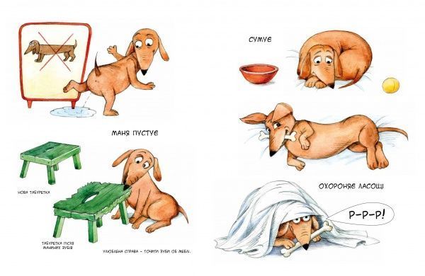 Книга Наталія Герасименко «Маня та інші» 978-966-915-282-4