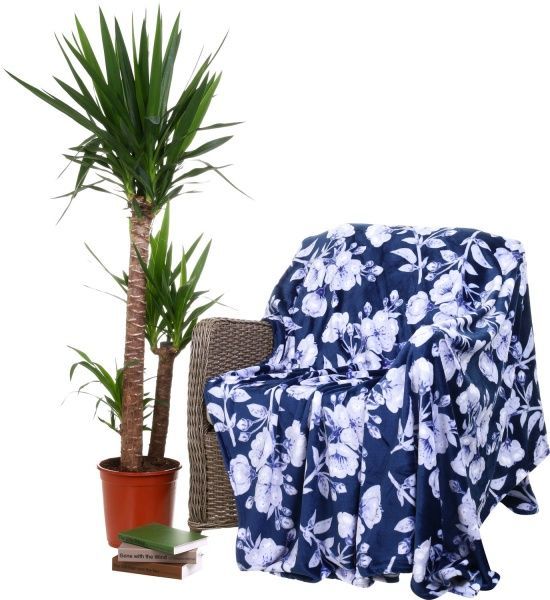 Плед Violet 200x220 см синий La Nuit 