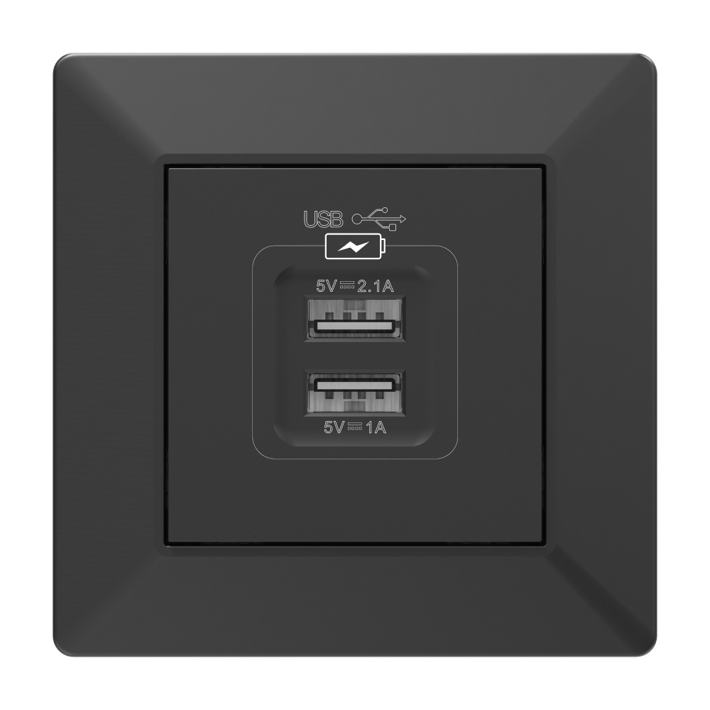Механізм розетки USB 2 HausMark Alta чорний