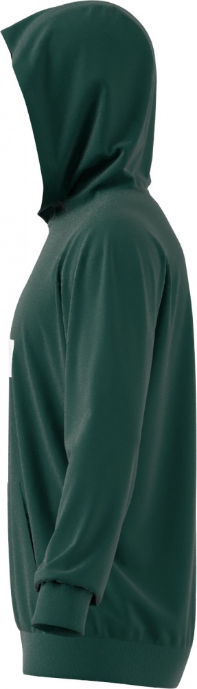 Джемпер Adidas M FI BOS HD IW8553 р.M зелений