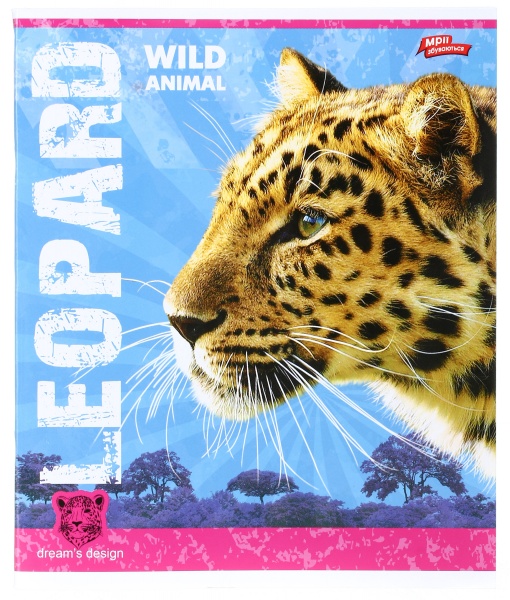 Тетрадь школьная уф-лак 48 листов в клеточку в ассортименте Мечты сбываются