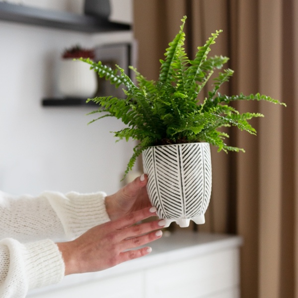 Кашпо керамічне МВМ DH-FLOWERS-28 S BLACK 13,5 см Чорний 