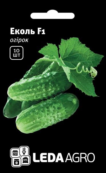 Насіння LedaAgro огірок Еколь F1 10 шт. (4820119791356)