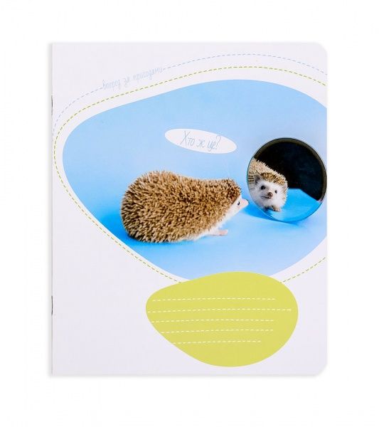 Комплект тетрадей Приключения ежика 12 листов в клетку 25 шт. Поділля