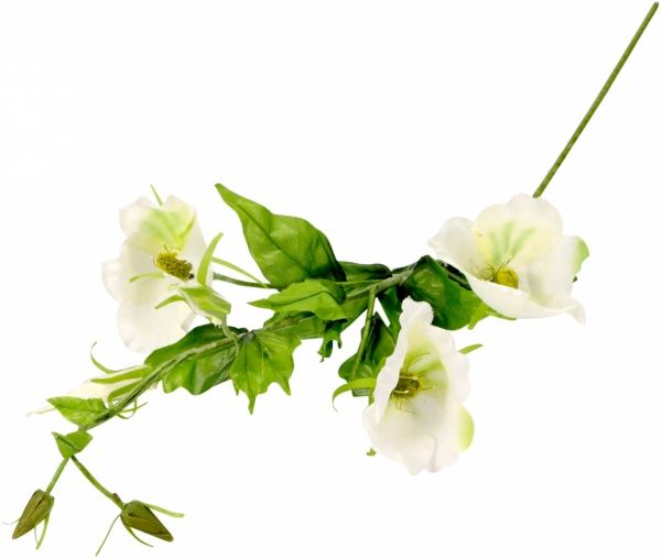  3 квітки 4 бутони висота 74см