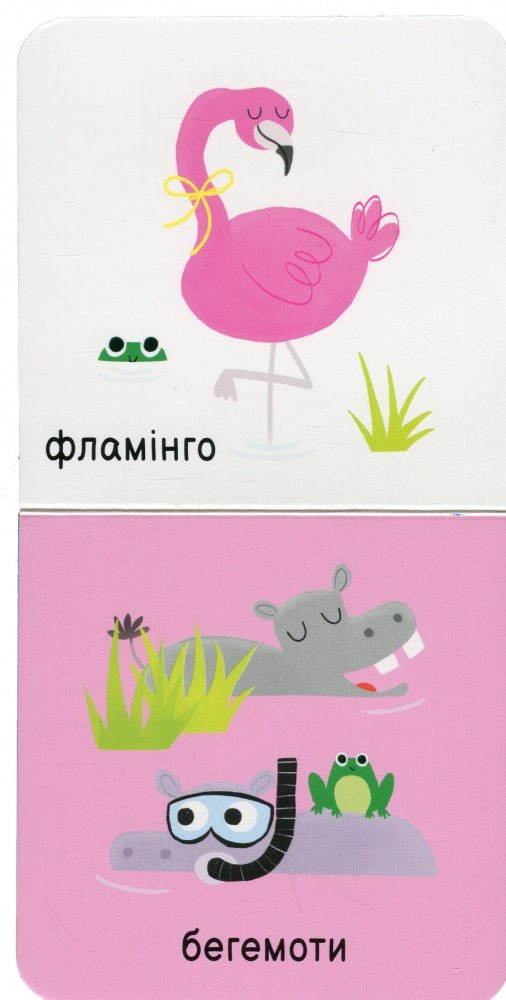 Книга «Мої тваринки» 978-617-09-8961-1