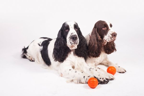 Мячик Liker 9 см