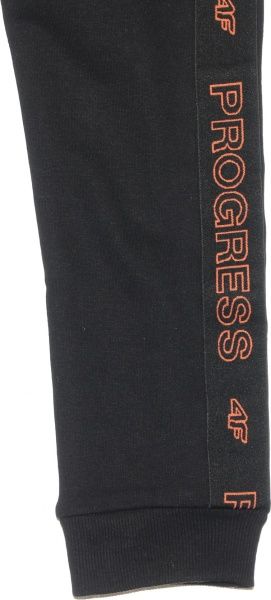 Брюки 4F HJZ20-JSPMD005-20S р. 164 черный