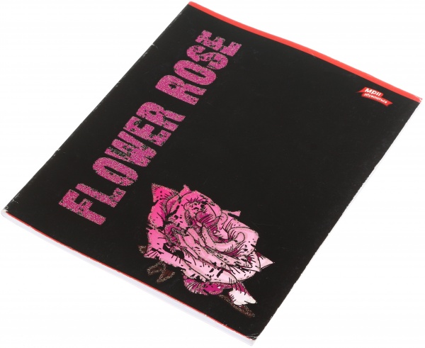 Тетрадь школьная с глитером 48 листов в клеточку в ассортименте Мечты сбываются