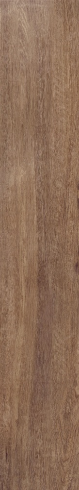 Плитка Allore Group Tahoe Gold F PR R Mat 19,8х120 см