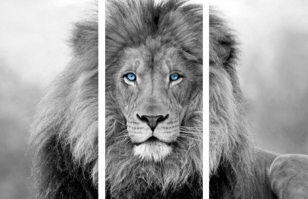 Картина модульная 3 части Лев MK296 129x69 см 