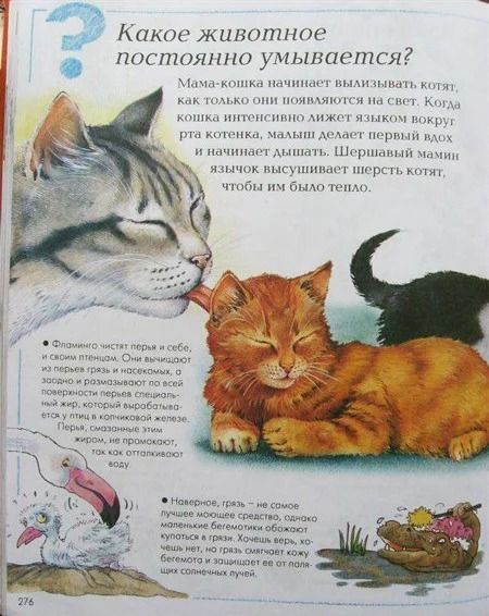 Книга «Большая детская энциклопедия» 978-5-389-02436-6