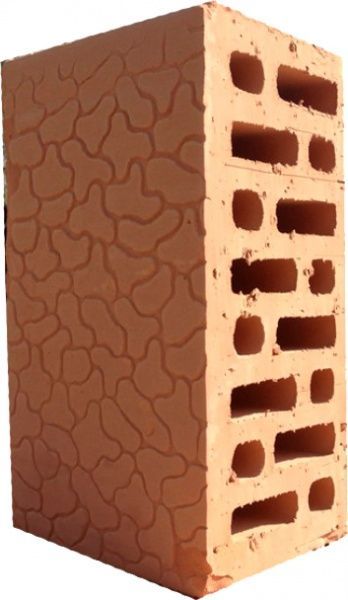 Блок керамический Снятин2 НФ(2.12) 