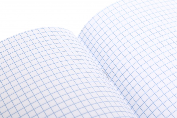 Зошит шкільний 48 аркушів у клітинку в асортименті Мрії збуваються