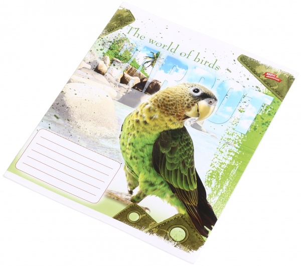 Зошит шкільний уф-лак 12 аркушів у лінійку в асортименті Мрії збуваються