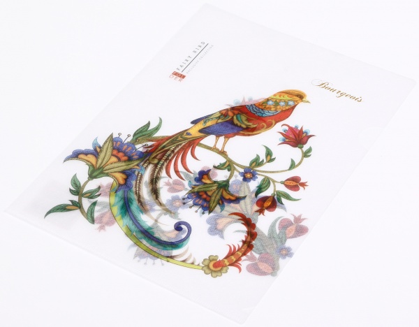 Папка-уголок A4 цветная печать P0142 в ассортименте Bourgeois 