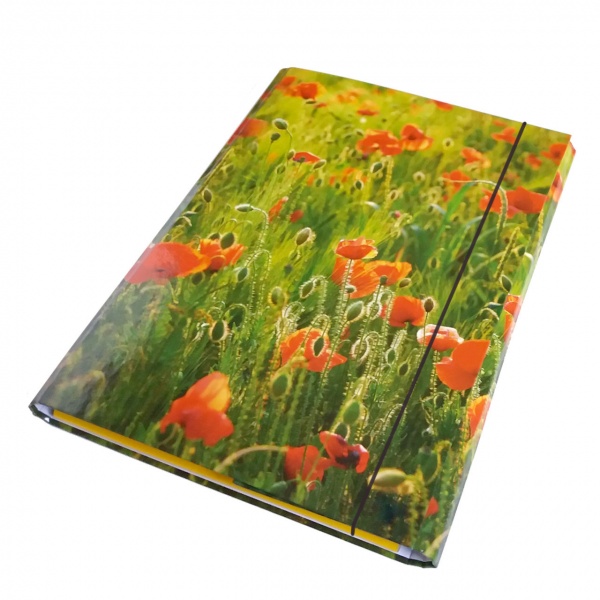 Папка-короб на резинці А4 25 мм в асортименті iTEM