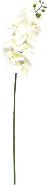 Растение искусственное Орхидея, 77 см, белая