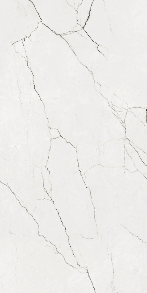 Плитка Allore Group Eleganza White F P R Somat 60x120 см