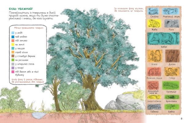 Книга «Хто де живе? Дивовижний світ тварин» 978-966-98505-6-0