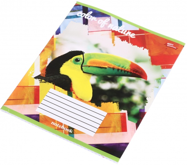 Зошит шкільний 48 аркушів у клітинку в асортименті Мрії збуваються