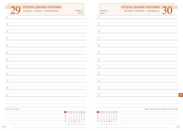 Ежедневник А5 Destiny 2021 коричневый Leo Planner