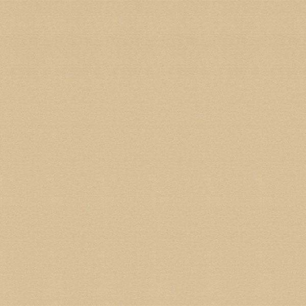 Обои Vinil Арабика СШТ 1-1157 