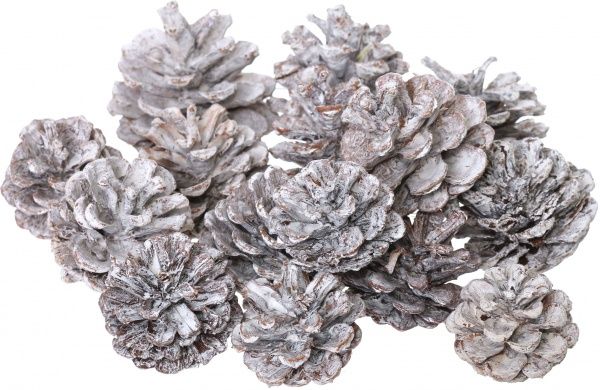 Набір шишок натуральні білі E5156411-W1G 15 шт./уп. 