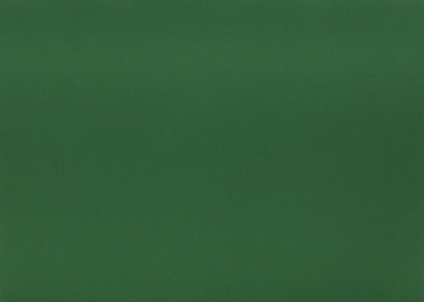 Папір для дизайну Fotokarton № 53 зелений мох B2  50x70 см 300 г/м² Folia