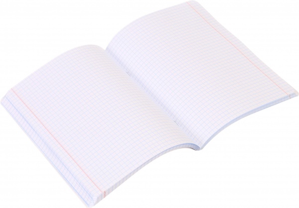 Тетрадь школьная Anime скоба 96 листов в клеточку Мечты сбываются