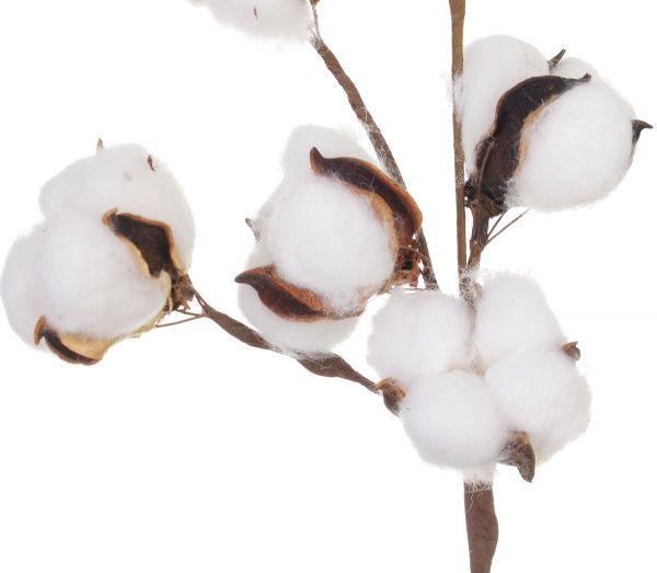 Декорация новогодняя Ветка с хлопком 35 см EPI-16A3893 