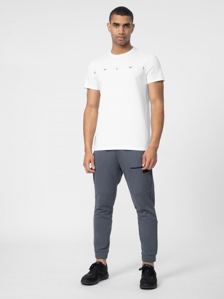 Брюки 4F 4FSS23TTROM139-25S р. M серый