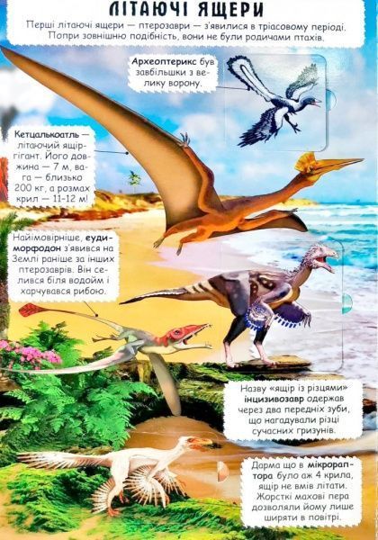 Книга «Динозаври. Книжка з секретними віконцями» 978-966-936-908-6