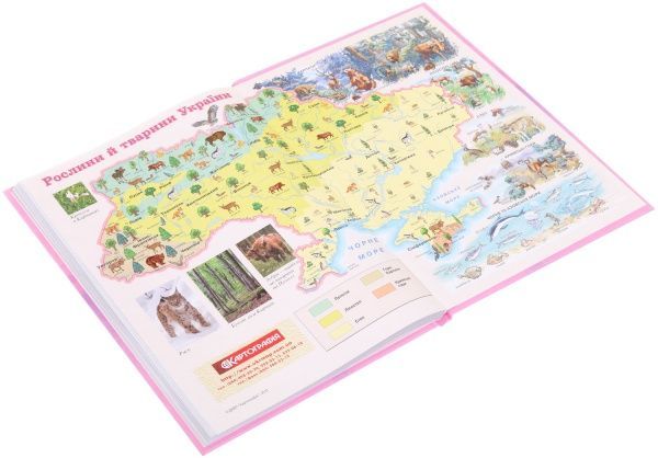 Дневник школьный Cat диз.3 Nota Bene