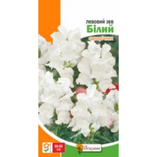 Семена Яскрава львиный зев Львиный Зев белый