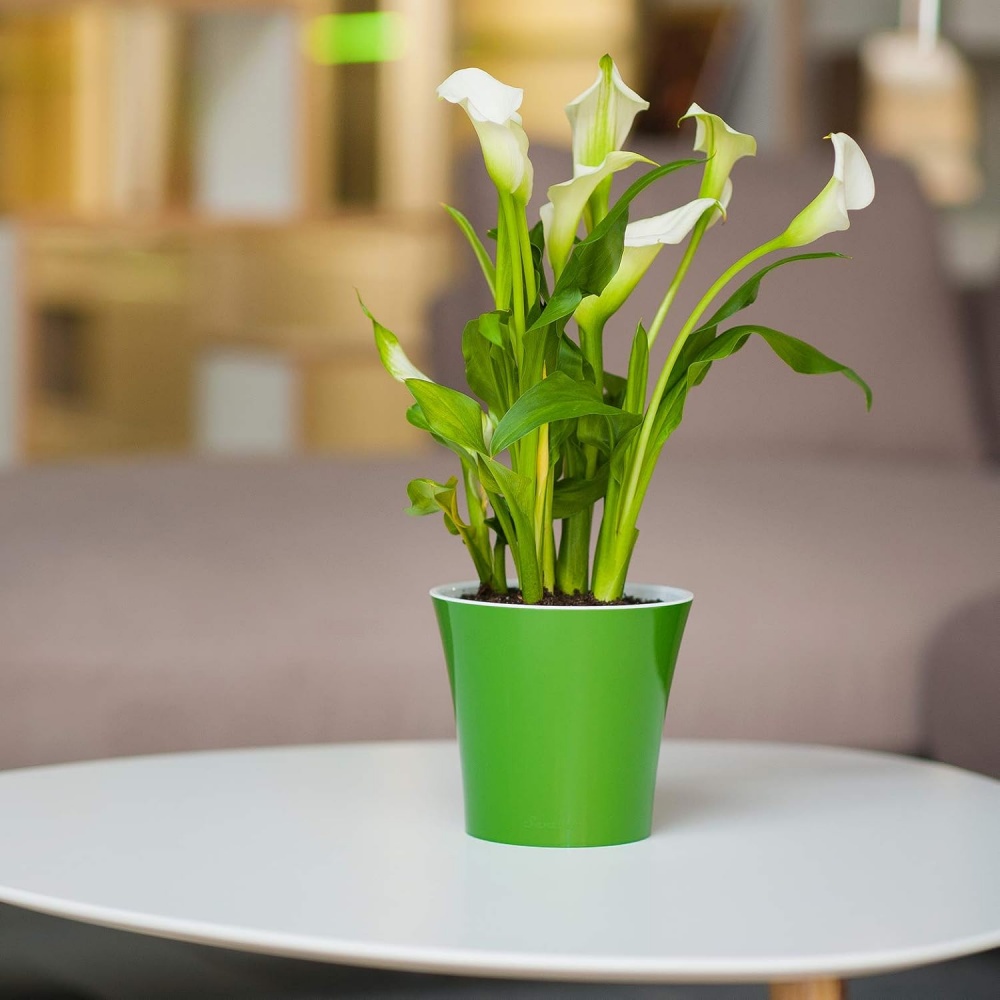 Вазон пластик Arte круглий зелений із білим 1,2 л Santino (2004369)